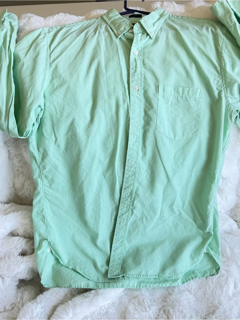 J. Crew Men's Mint Green Button-Down Shirt Sz LG Slim Fit